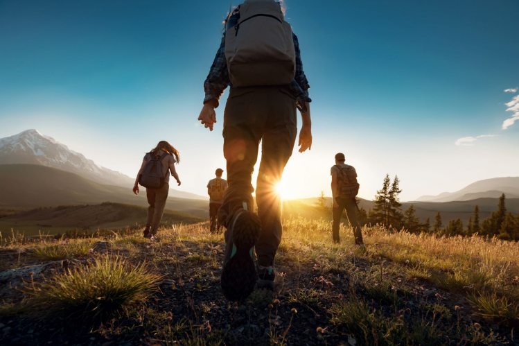 Group of hikers walking in nature